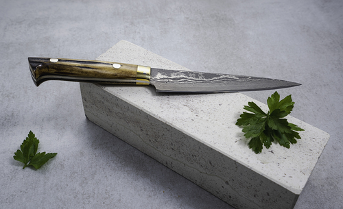 Mistrzowski nóż Takeshi Saji Gyuto VG-10 na tle kamienia z zielonymi liśćmi.