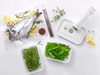 Pojemniki Fresh & Save Zwilling z warzywami i rybą na białym tle.