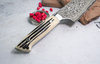 Orientalny nóż Santoku Takeshi Saji z 61 warstw stali R2 na kamiennej powierzchni.