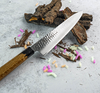 Mistyczna elegancja noża Gyuto Sakai Takayuki Urushi z ostrzem VG-10