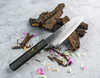 Japoński nóż Santoku Sakai Takayuki Urushi na tle naturalnych elementów.